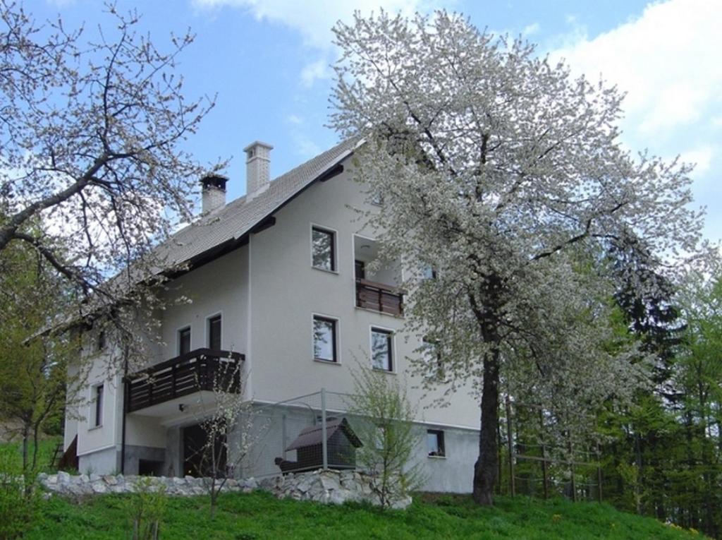 Apartments Pri Marjetki Cerkno Ngoại thất bức ảnh