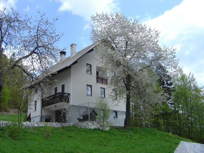 Apartments Pri Marjetki Cerkno Ngoại thất bức ảnh