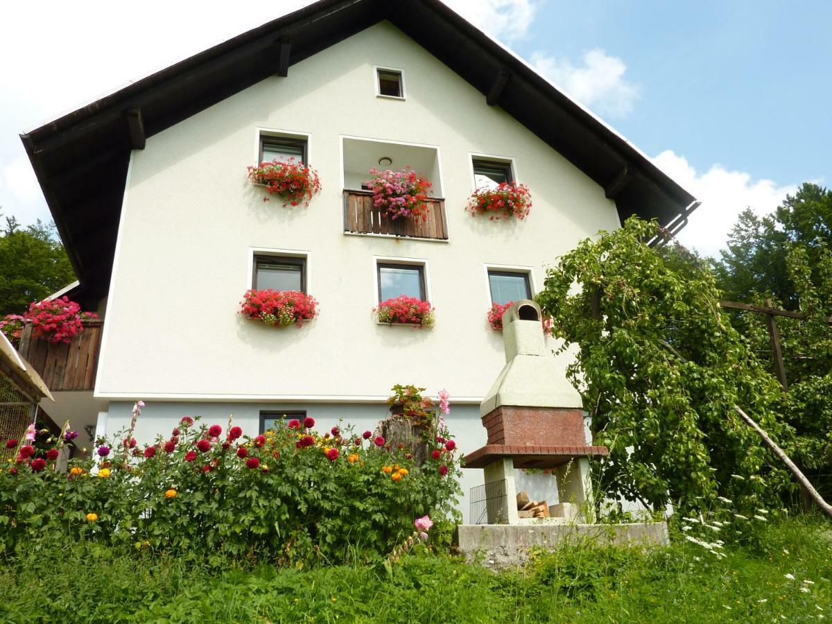 Apartments Pri Marjetki Cerkno Ngoại thất bức ảnh